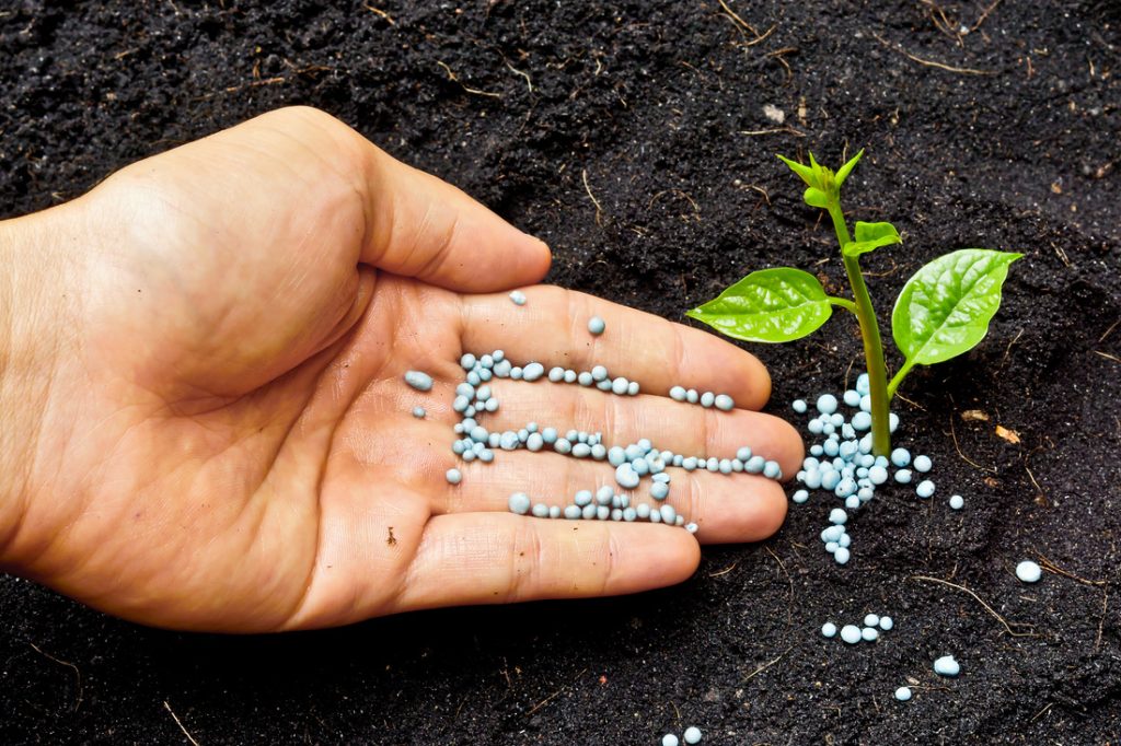 مزایای استفاده از کود اوره فسفات