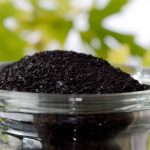 کود هیومیک اسید چیست و چه کاربردی برای گیاهان دارد؟