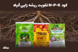 5روش افزایش و تقویت ریشه زایی در گیاهان