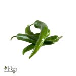 بذر فلفل قلمی تند پاکان بذر