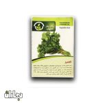 بذر گشنیز پاکان بذر