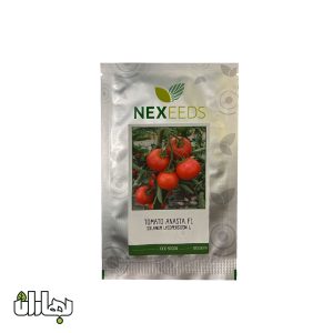 بذر گوجه گلخانه ای آناستا