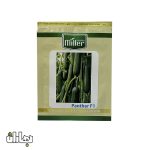 بذر خیار گلخانه ای پنتر