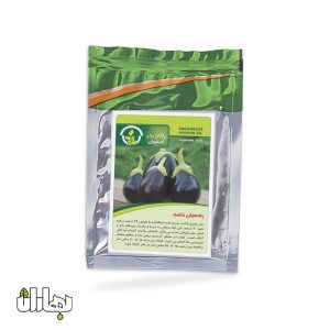 بذر بادمجان دلمه پاکان بذر