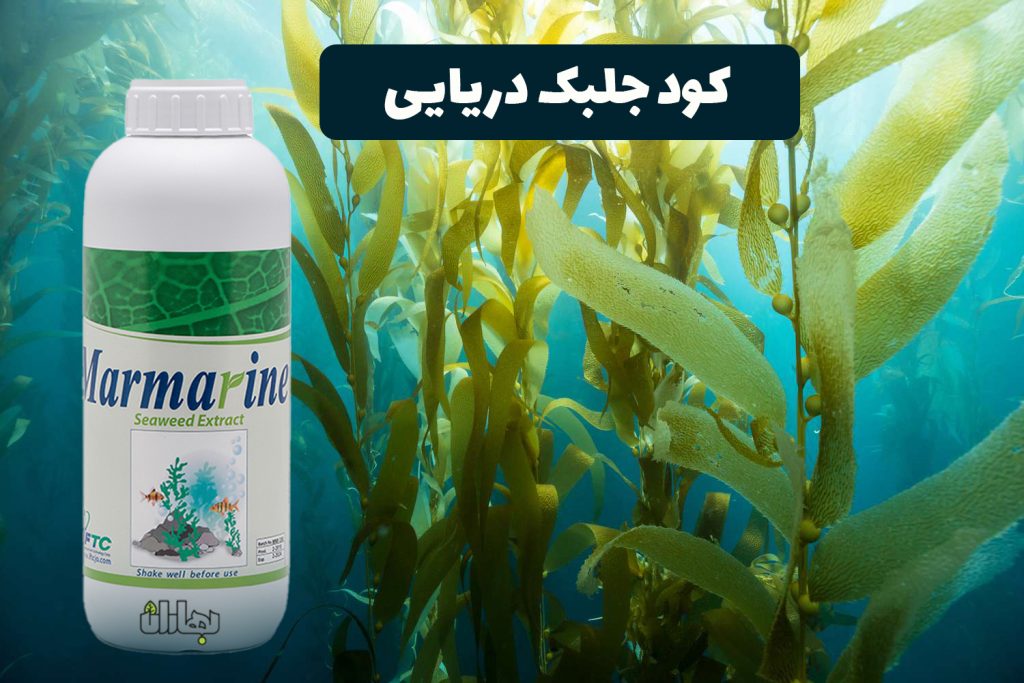 کود جلبک دریایی